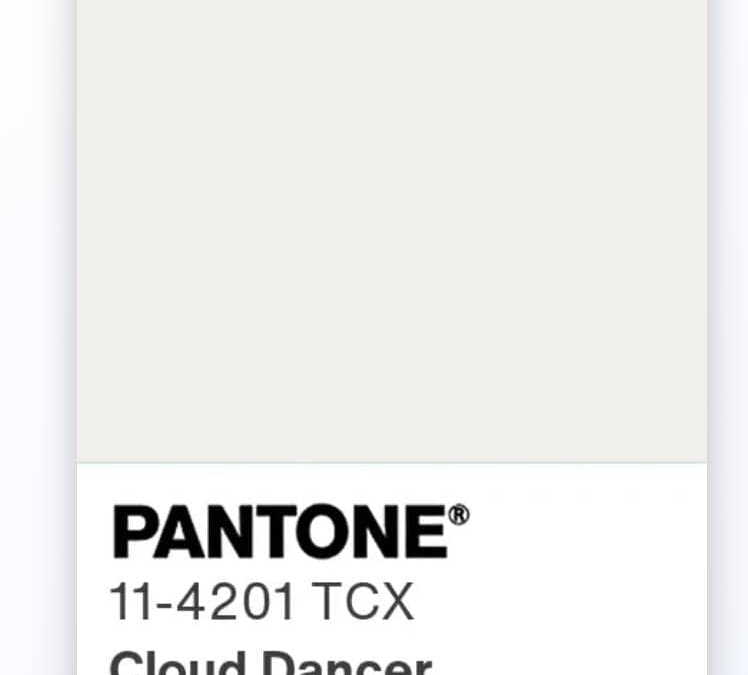 Kitchen & Interior Trends: Looking Back at 2025 and What’s Coming in 2026